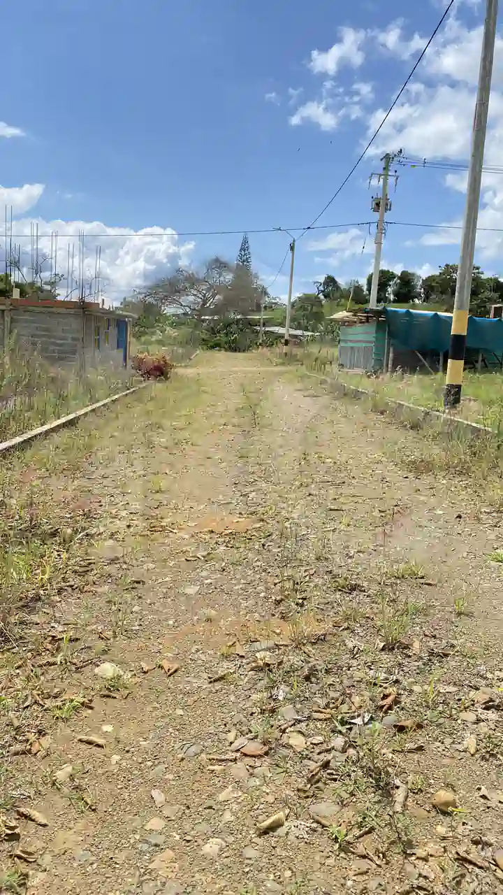 Portales de san isidro